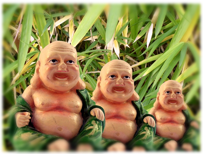 funky buddah